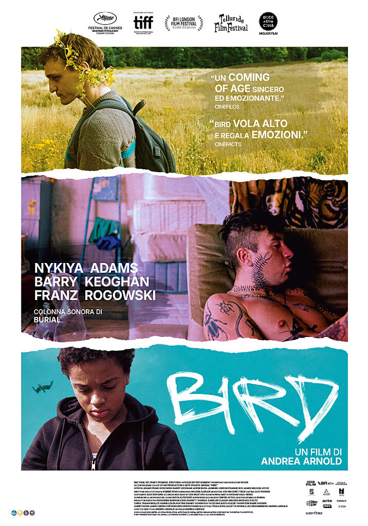 Bird